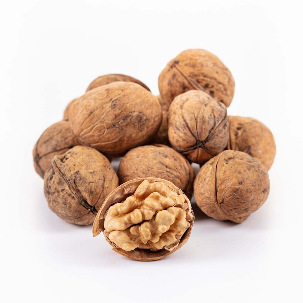 قیمت رقابتی گردو پوست کاغذی صادراتی + خرید ویژه